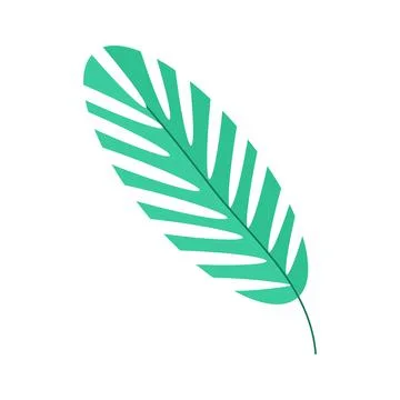 Palm twig on a white background for use in the design of the clipart Stock Illustration