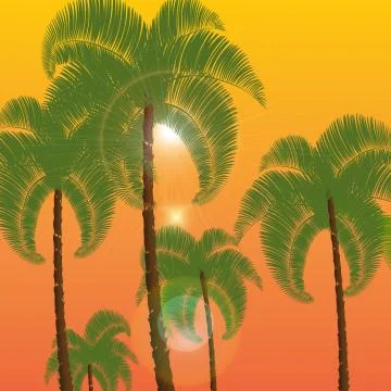 Palm in two rows, a bottom view. Against the background of orange sunset, s.. Stock Illustration