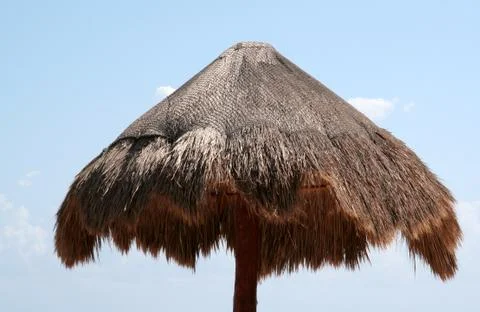 Palm umbrella Stock Photos