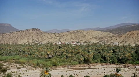 Palm Valley View FHD Stock Footage 69026657
