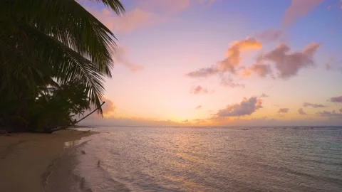 Palm wild beach at sunset.  Stock Footage 202248095