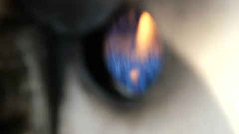 PALM0111 動画素材 181101049