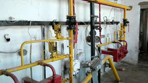 PALM01112 動画素材 181117648