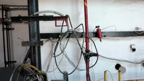 PALM01114 動画素材 181116854