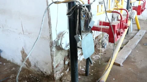 PALM01116 動画素材 181118232