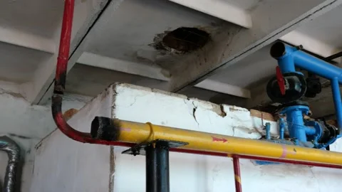 PALM01117 動画素材 181117862