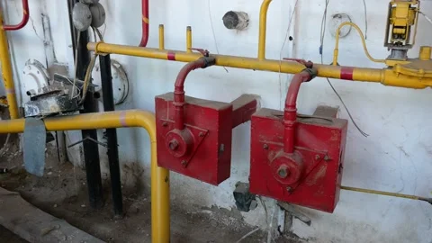 PALM01119 動画素材 181117889