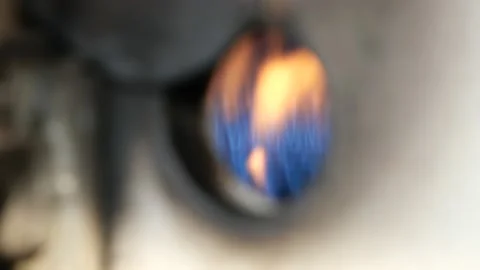 PALM0112 動画素材 181101944