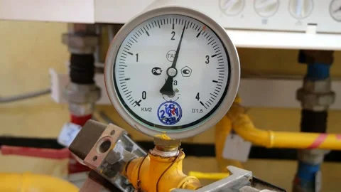 PALM01120 動画素材 181130905