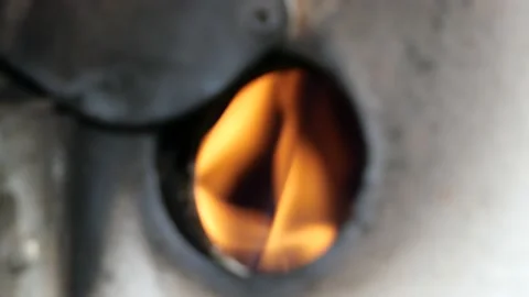 PALM0114 動画素材 181101910