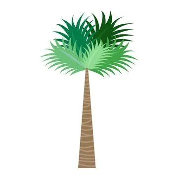 Palm1 Illustrazione stock