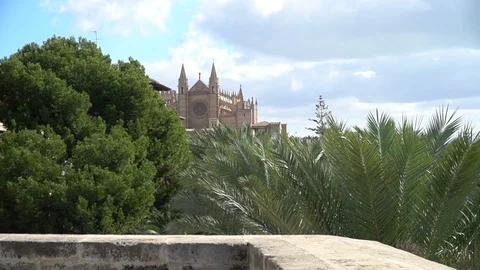Palma cathedral and trees 動画素材 128349965