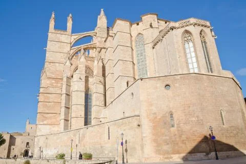 Palma Cathedral From Behind Foto stock