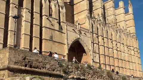 Palma cathedral Video stock 337928039