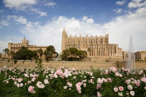 Palma cathedral Stock Photos