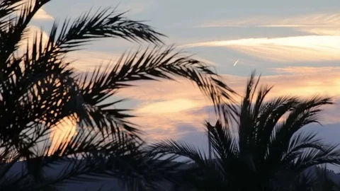Palma de Mallorca, Evening sky over the city. Видео 80146258