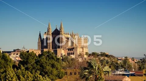 Palma de Mallorca / Mayorca - Gothic Cathedral, main tourist attraction. Stock Photos