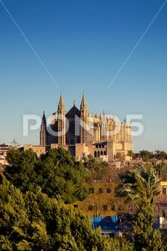 Palma de Mallorca / Mayorca - Gothic Cathedral, main tourist attraction. Stock Photos