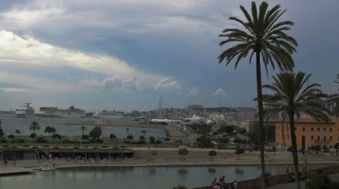 Palma de Mallorca palm trees HD Stock Footage 32259254