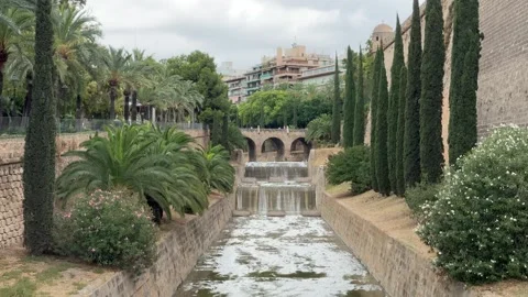 Palma de Mallorca, Spain - 07 26 2025: Exploring Palma, capital of Mallorca Stock Footage 320845847