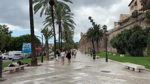 Palma de Mallorca, Spain - 07 26 2025: Exploring Palma, capital of Mallorca Stock Footage 320845862