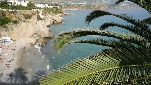 Palma, framing. Vídeos de archivo 69224804