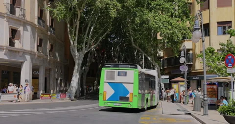Palma Mallorca downtown bus intersection city 4K Stock Footage 279113086
