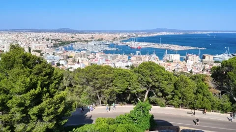Palma Marina above1 Stock Footage 343870012