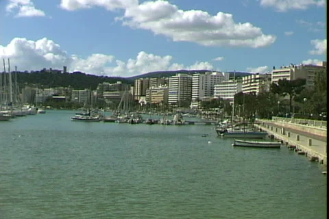Palma Marina Видео 819440