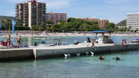 Palma Nova Mallorca Majorca: Divers in water Stock Footage 63164409