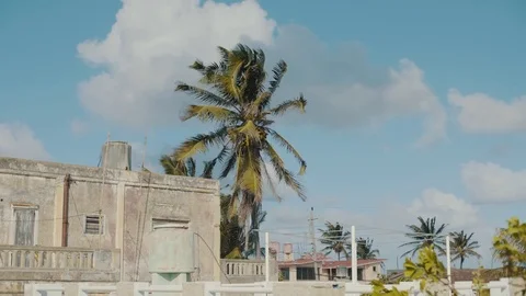 Palma, the old house on the background. Stock Footage 72487185