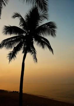 Palma. sunset on the beach. Stock Photos