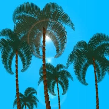 Palma in two rows in the bottom view. Against the backdrop of a blue, cloud.. Stock Illustration