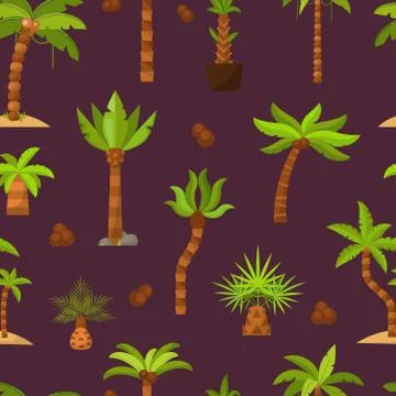 Palma vector palmaceous tropical tree with coconut or green exotic leafs and Stock Illustration