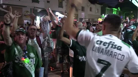 Palmeiras fans react as their team is set to win the Brazilian Football leag... Video stock 257923747