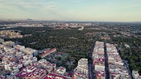 Palmeral of Elche at sunset Stock Footage 236168125