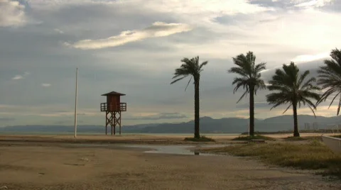 Palmeras 库存影片 299713