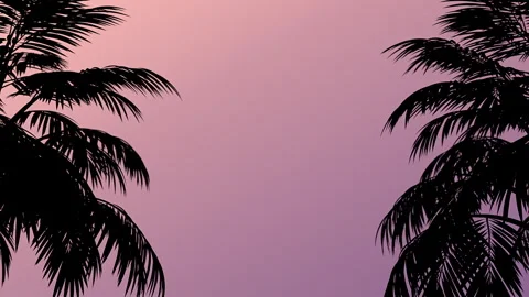 Palmetto Leaf Silhouette Background Stock Footage 313788838