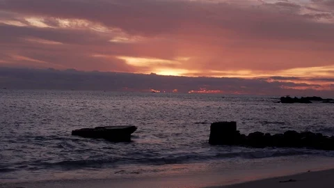 Palmilla Amance 4 Stock Footage 98096105