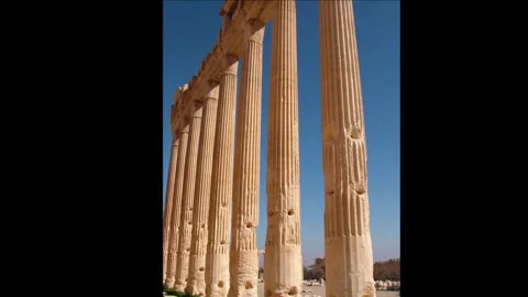 Palmira,Syria Vídeos de archivo 311004222