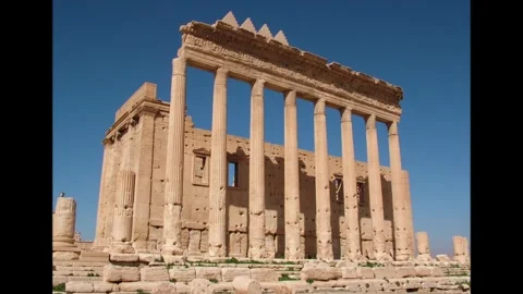 Palmira,Syria Vídeos de archivo 311004232