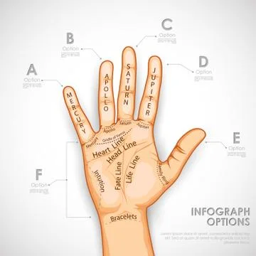 Palmistry Infographics Stock Illustration