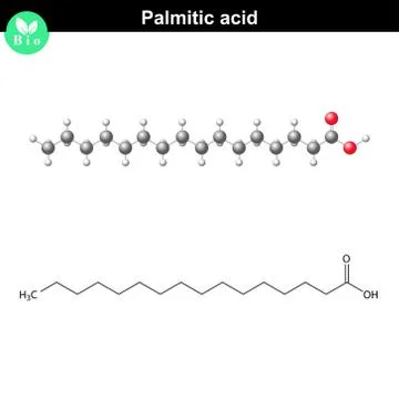 Palmitic acid molecule Stock Illustration
