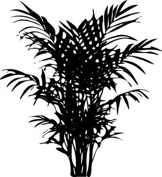 Palmm Stock Illustration