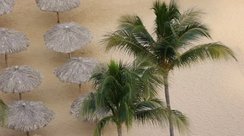 Palms And Beach Huts Stock Footage 6568340