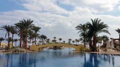 Palms and a bridge are reflected in the pool water against a Foto stock