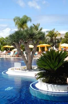 Palms and pool Stock Photos