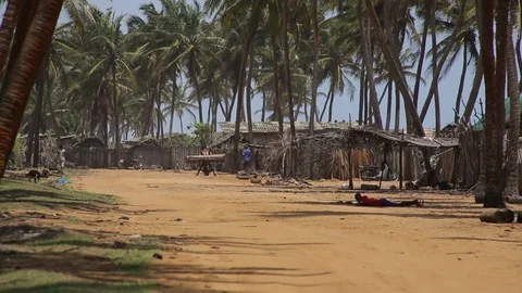 Palms and road Stock Footage 122591047
