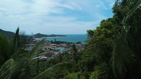 Palms and rooftops in coastal sunlight. Lush jungle foliage framing picturesque Stock Footage 312743929