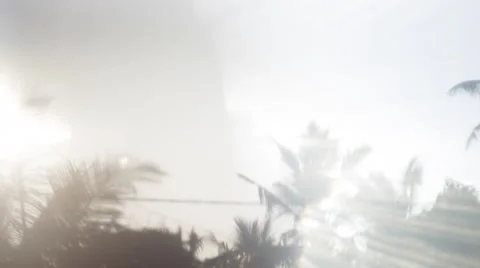 Palms and sky move at defocus Stock Footage 47010810